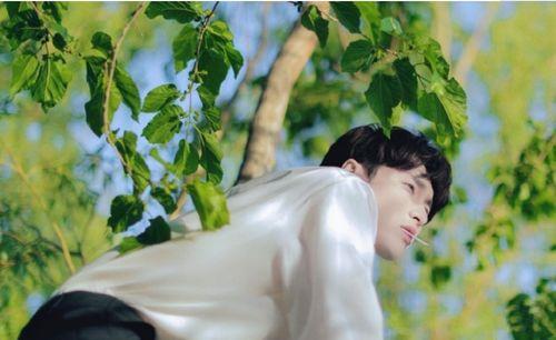 娱乐吃瓜张艺兴,从娱乐吃瓜到实力偶像的蜕变之路